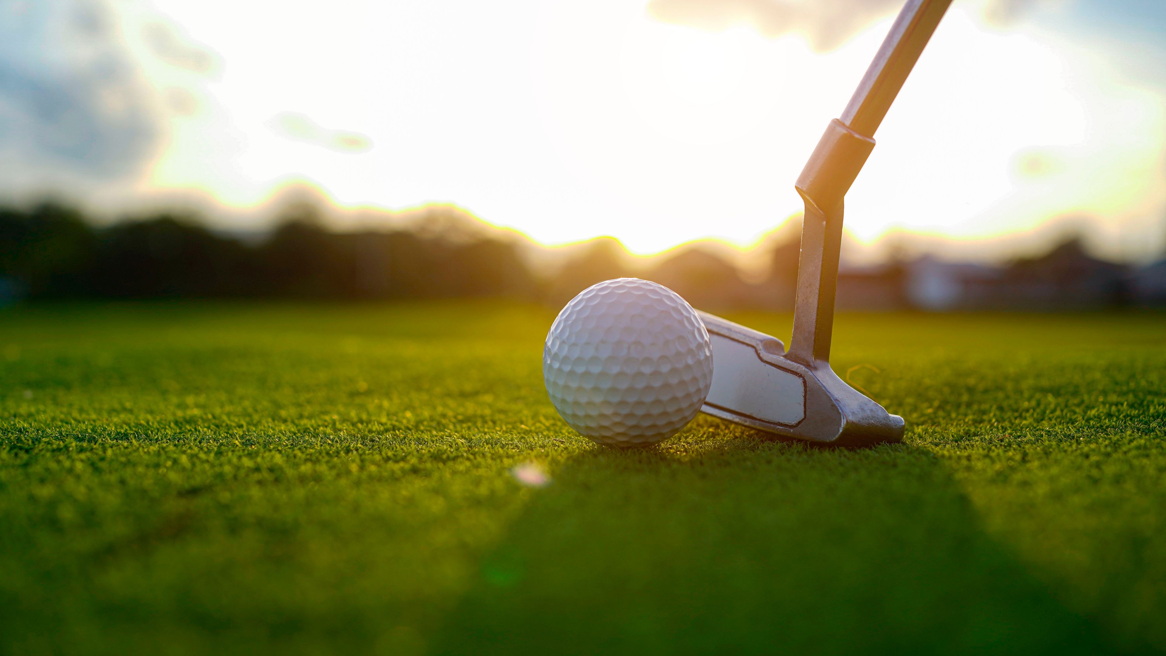 Golf club & ball on the green